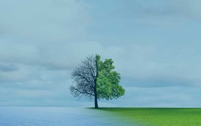 Seasonal Affective Disorder (SAD) – The Lowdown